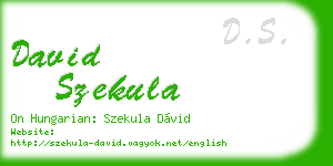 david szekula business card