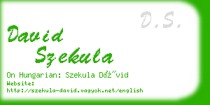 david szekula business card